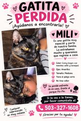 Lost Female Cat last seen Near sw 187 ave, Beaverton, OR 97006