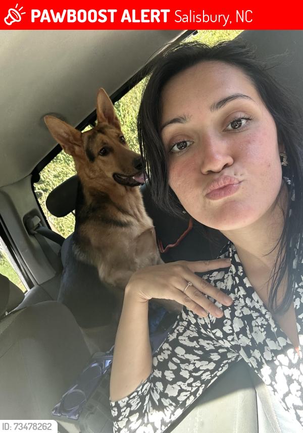 Lost Male Dog last seen Smoke Pit. Department of Social Services, Salisbury, NC 28146