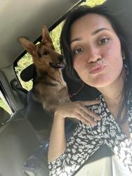 Lost Male Dog last seen Smoke Pit. Department of Social Services, Salisbury, NC 28146