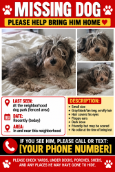 Lost Male Dog last seen O’Malley in Six oaks neighborhood, Summerville, SC 29483