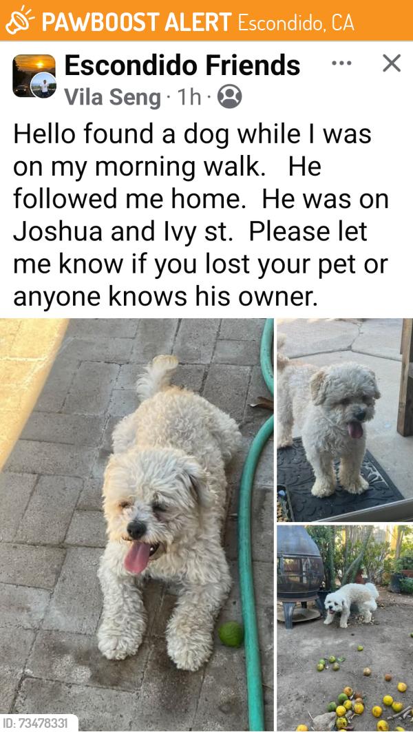 Found/Stray Male Dog last seen Joshua and Ivy, Escondido, CA 92026