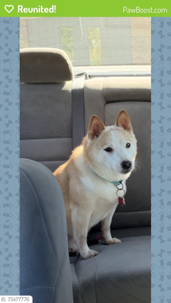Reunited Male Dog last seen Sycamore Ave & Jana Lane, Madison, WI 53704