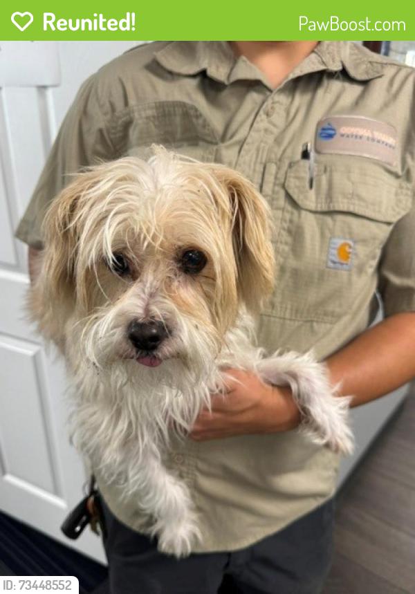 Reunited Male Dog last seen On Hillside Drive, in between Citrus and Inspiration Point, West Covina, CA 91791