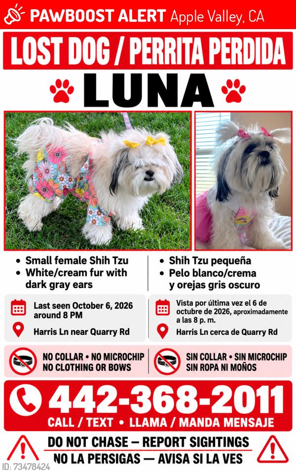 Lost Male Dog last seen Harris Ln, Quarry rd, Apple Valley, CA 92307