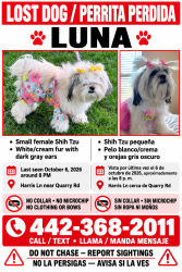 Lost Male Dog last seen Harris Ln, Quarry rd, Apple Valley, CA 92307