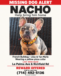 Lost Male Dog last seen La Palma and Ridgefield, Anaheim, CA 92811