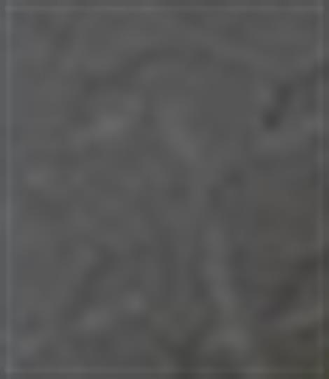Shelter Stray Unknown Cat last seen Near, 5001 E Raymond St, Indianapolis, IN 46203, USA
