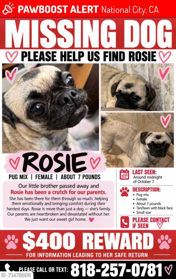 Lost Female Dog last seen Harbison and plaza blvd national city ca, National City, CA 91950