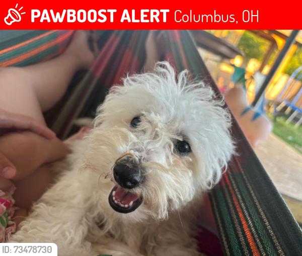 Lost Male Dog last seen Gethsemane United Methodist Church, Columbus, OH 43232