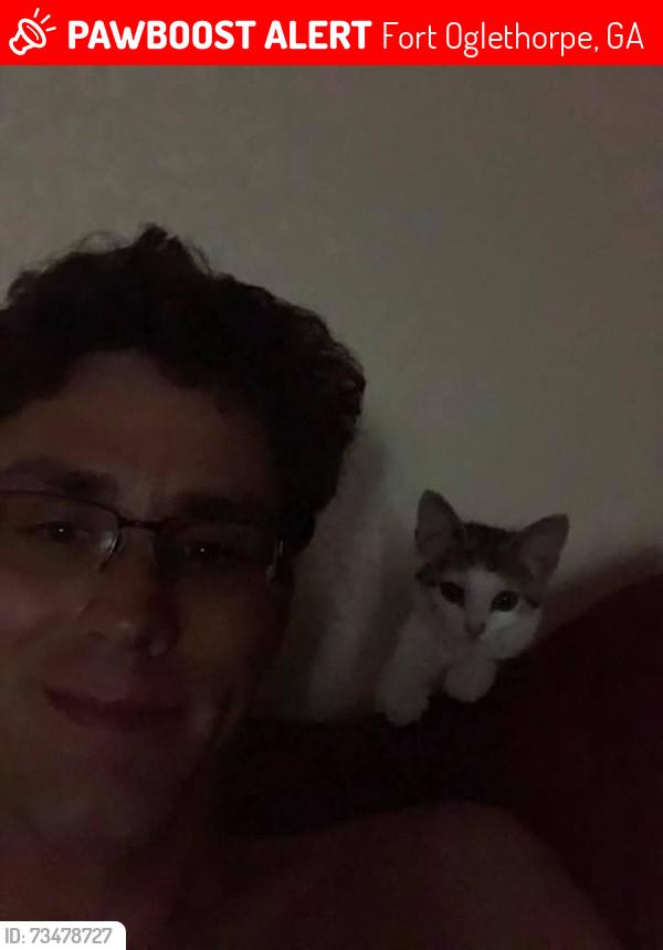 Lost Female Cat last seen Stovall street, Fort Oglethorpe, GA 30742