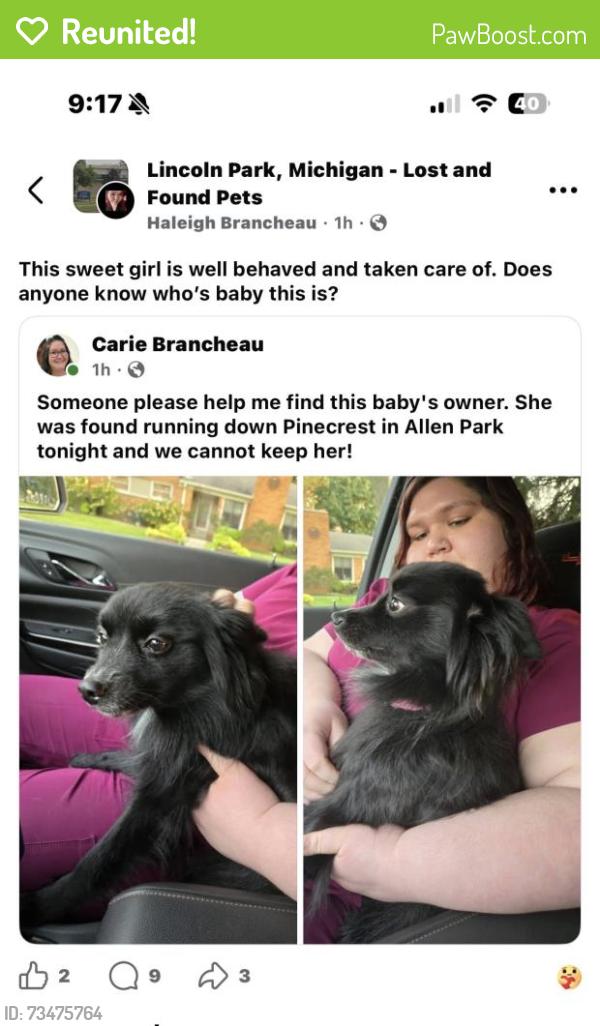 Reunited Female Dog last seen Allen Park, MI 48101, USA, Allen Park, MI 48101