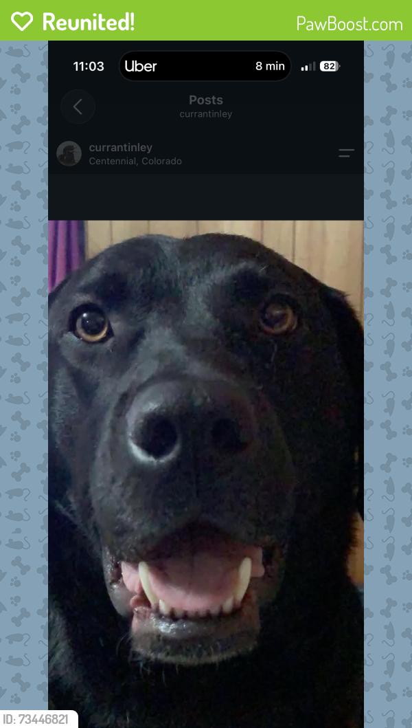 Reunited Male Dog last seen Siskin and Colorado, Highlands Ranch, CO 80126