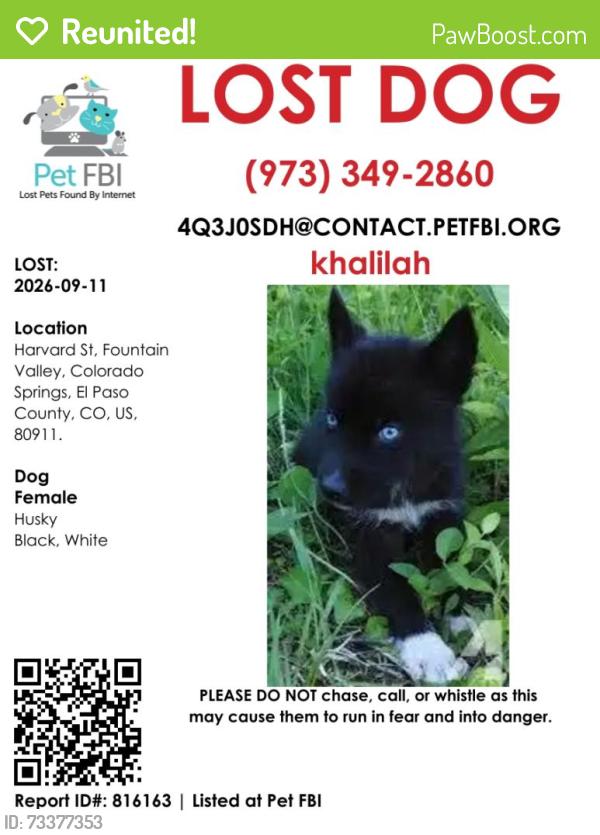 Reunited Female Dog last seen harvard street, Colorado Springs, CO 80911
