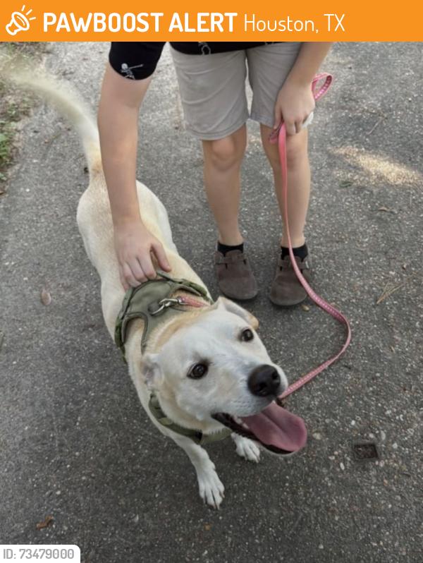 Found/Stray Male Dog last seen Deerbrook, Houston, TX 77339