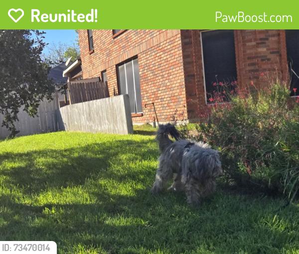 Reunited Unknown Dog last seen Forum, Grand Prairie, TX 75052