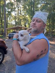 Found/Stray Female Dog last seen Guess Road and Horton Road, Durham, NC 27704
