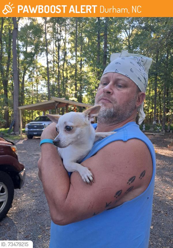 Found/Stray Female Dog last seen Guess Road and Horton Road, Durham, NC 27704
