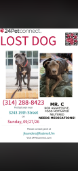 Lost Male Dog last seen Near 19th Street, St. Louis, MO 63107