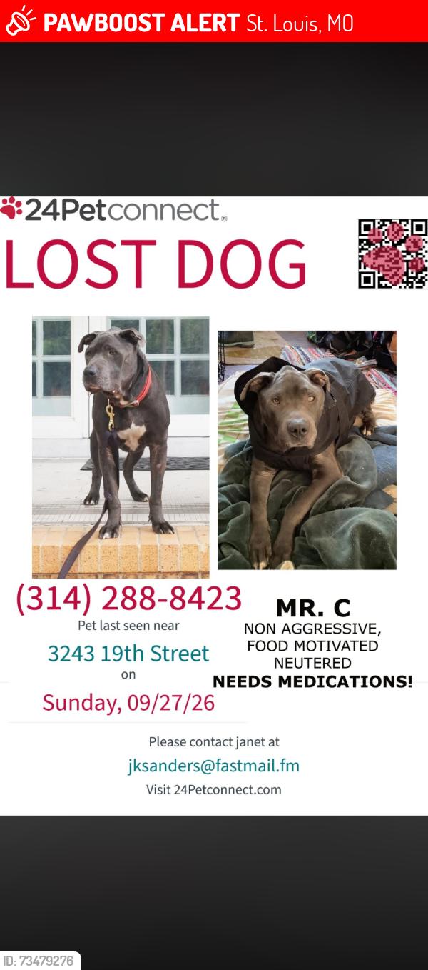 Lost Male Dog last seen Near 19th Street, St. Louis, MO 63107