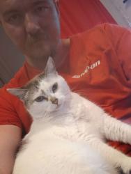 Lost Female Cat last seen Massey thompkins, Baytown, TX 77521