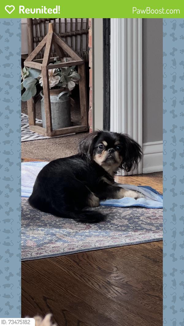 Reunited Male Dog last seen Dillard rd, Bowling Green, KY 42104