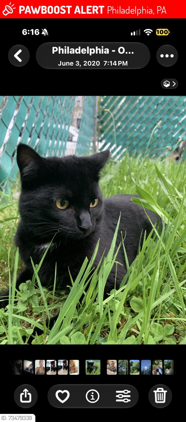 Lost Male Cat last seen Eastwood street Vincent street , around castor, Philadelphia, PA 19149