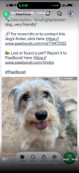 Lost Female Dog last seen Greystone, Oklahoma City, OK 73120