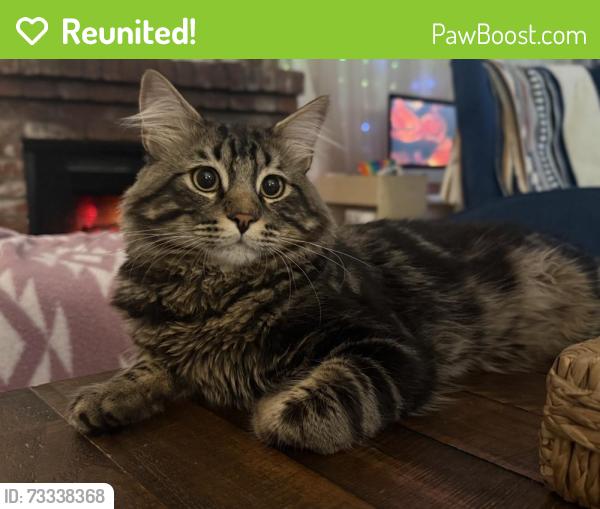 Reunited Male Cat last seen Woodlake, Lakeside, CA 92040