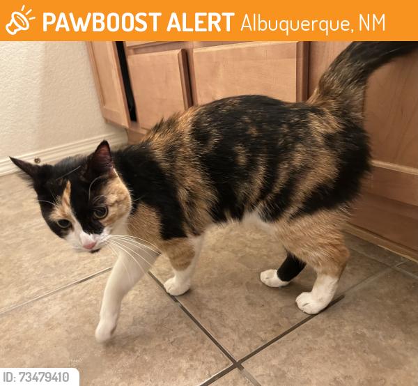 Found/Stray Female Cat last seen Ventana West Park, Albuquerque, NM 87114