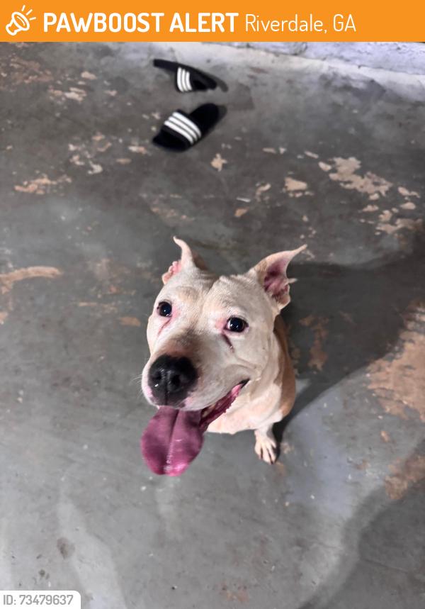 Found/Stray Female Dog last seen W Briar Gate Ct, Riverdale, GA 30296, Riverdale, GA 30296