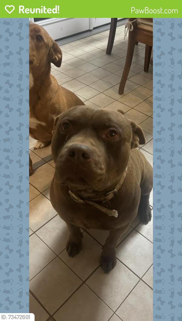 Reunited Male Dog last seen State hwy 52, Keenesburg, CO 80643