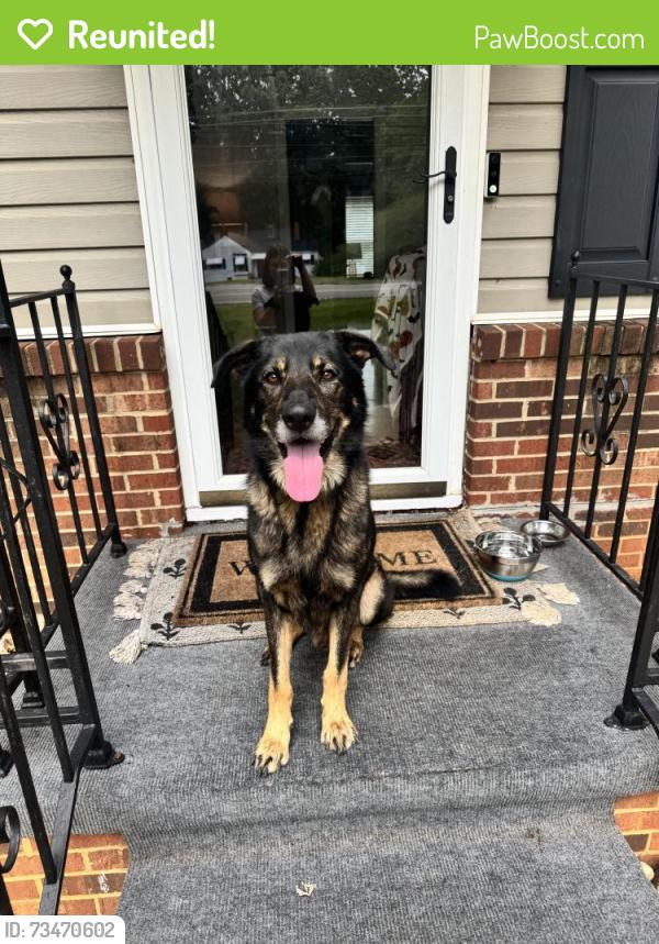 Reunited Male Dog last seen Near S Scales St Reidsville, NC 27320 United States, Reidsville, NC 27320