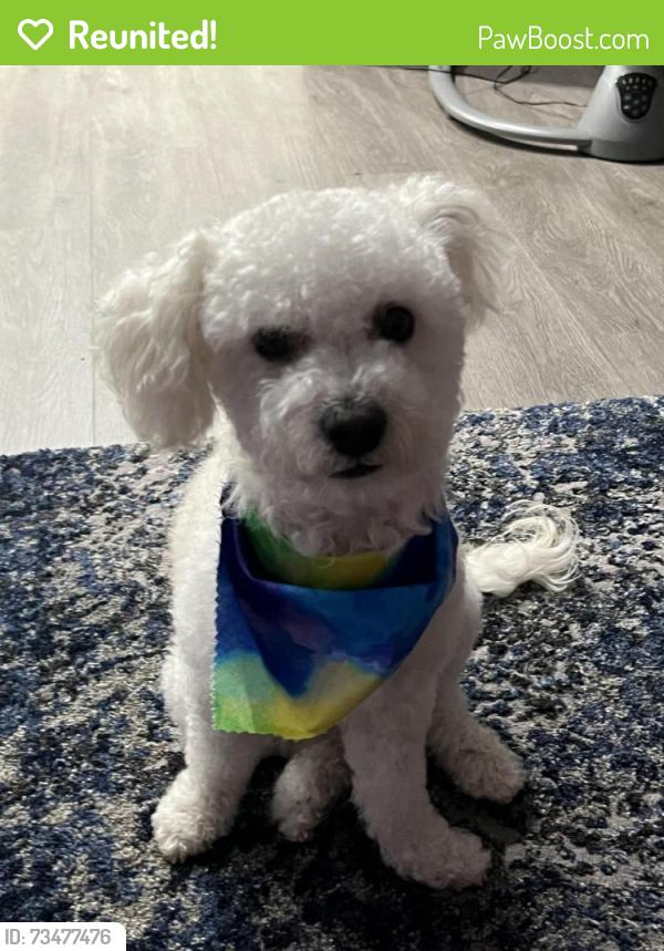 Reunited Male Dog last seen Vanowen street, Los Angeles, CA 91335