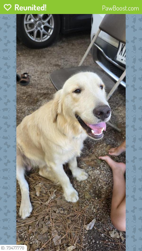 Reunited Male Dog last seen Wagon Wheel and Frontier, Stagecoach, TX 77355