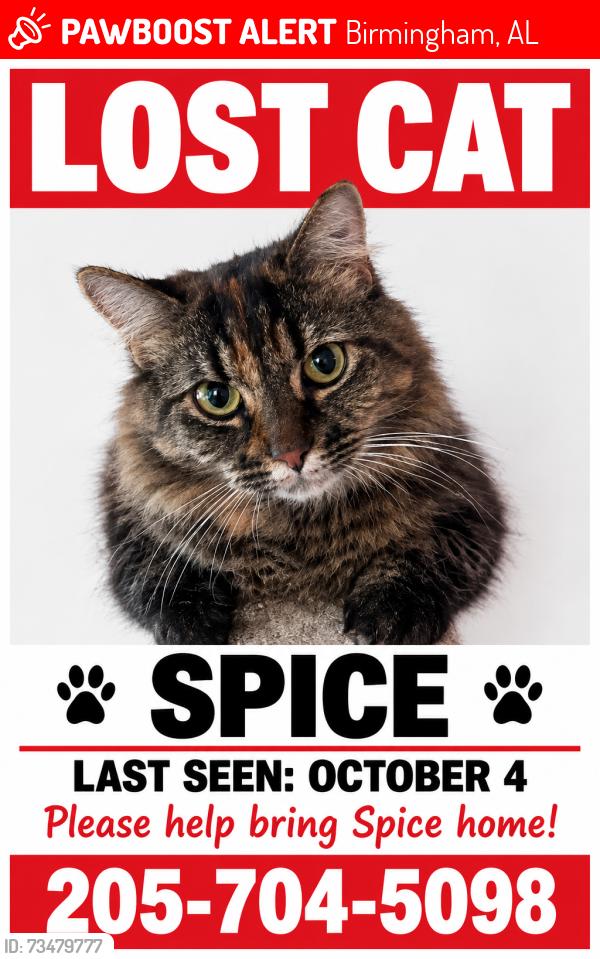 Lost Female Cat last seen Near 17th Ave South, Birmingham Alabama, Birmingham, AL 35205