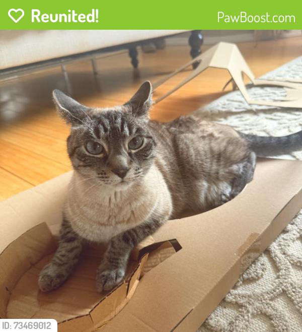 Reunited Male Cat last seen Woodway Circle near Saint Elizabeth Ann Seton (SEAS), Anchorage, AK 99516