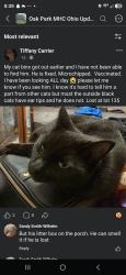 Reunited Male Cat last seen Eastern and 21, Doylestown, OH 44230