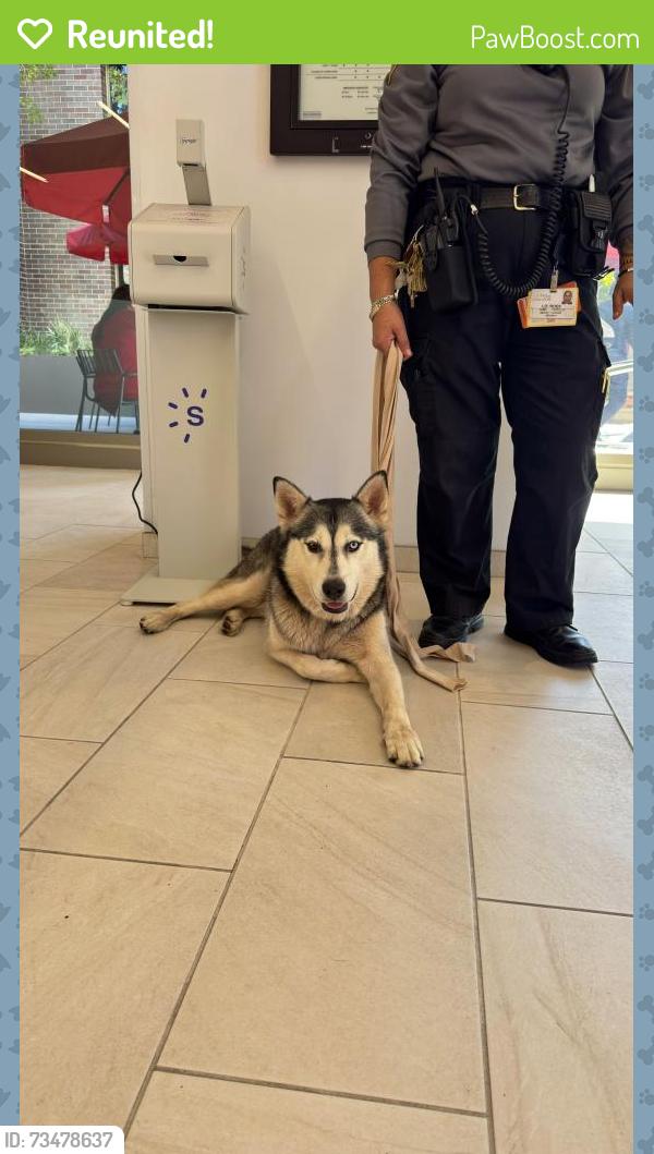 Reunited Male Dog last seen Keck hospital, Los Angeles, CA 90033