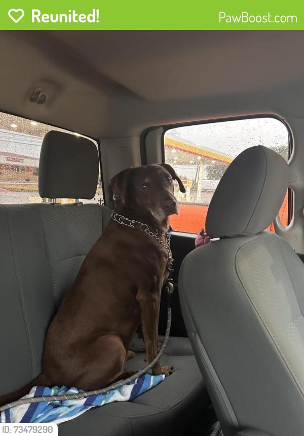 Reunited Male Dog last seen WJ Boaz, Fort Worth, TX 76179