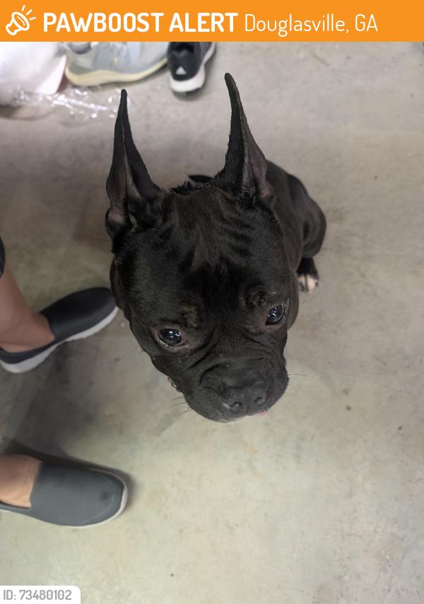 Found/Stray Male Dog last seen Florence rd and Capps Ferry Rd, Douglasville, GA 30135