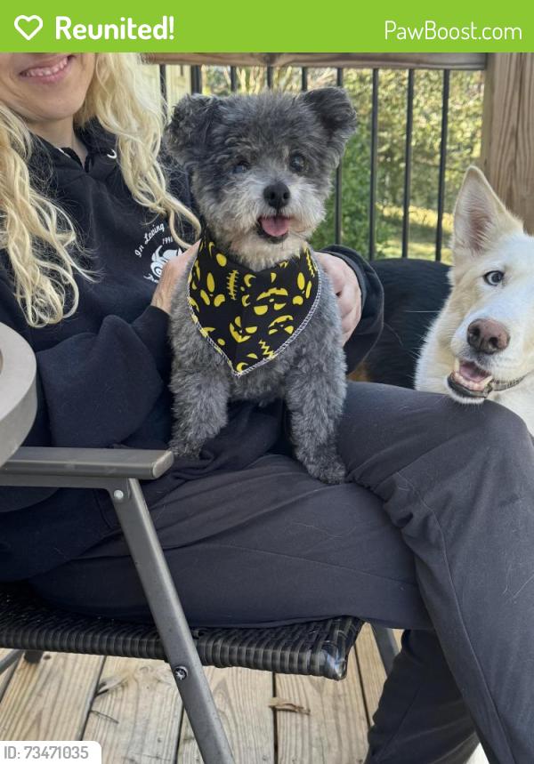 Reunited Male Dog last seen Fountain inn High school, Fountain Inn, SC 29644