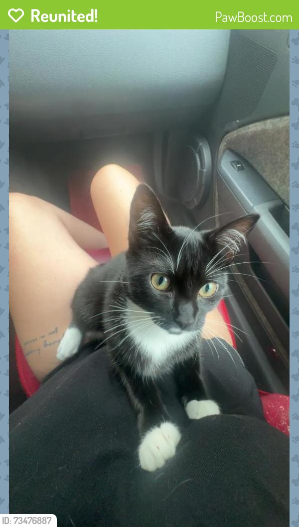 Reunited Female Cat last seen She was unexpectedly let out in the middle of the night when my step dad came home from work., Watkinsville, GA 30677