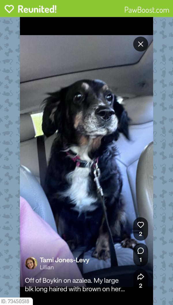 Reunited Female Dog last seen Boykin rd, Lillian, AL 36549