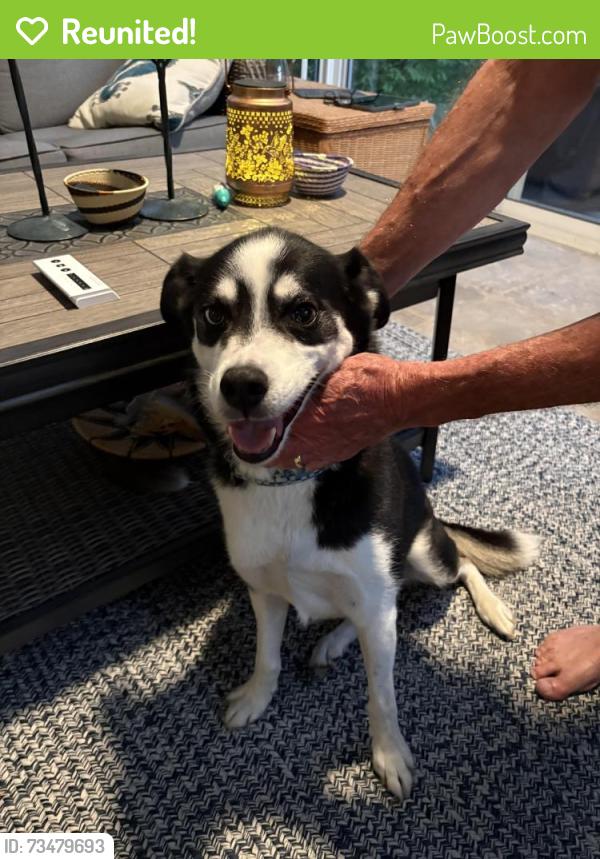 Reunited Male Dog last seen Loveland Miamiville, Loveland, OH 45140