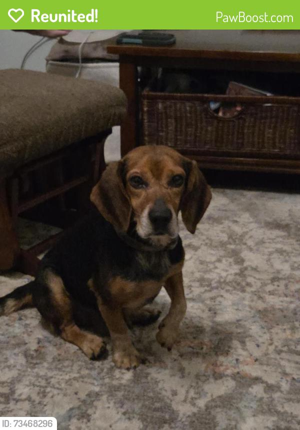 Reunited Male Dog last seen Sliding Rock Rd and hwy 11, Pickens County, SC 29671