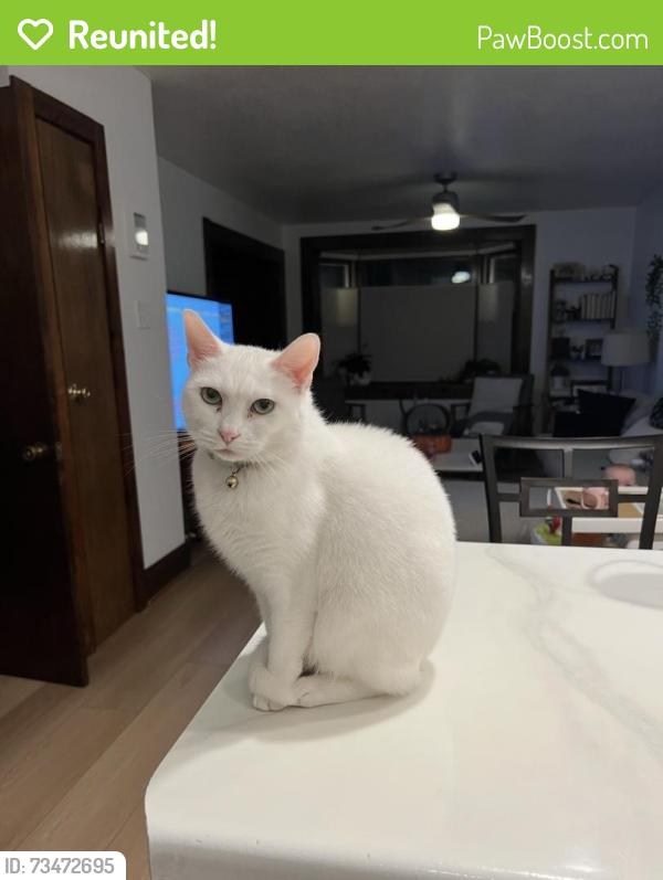Reunited Female Cat last seen Jacobus park, Wauwatosa, WI 53213