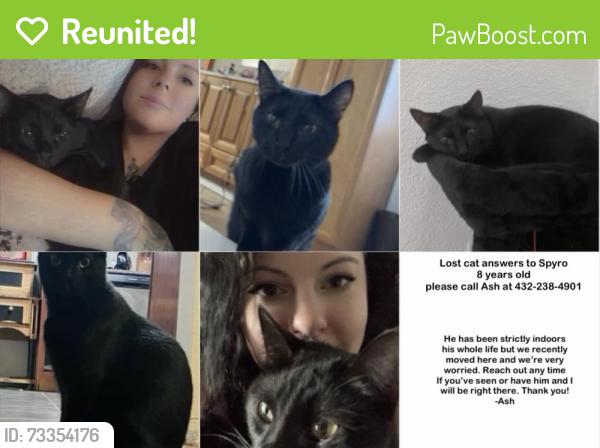 Reunited Male Cat last seen Between High School and Spirit Halloween a couple of blocks off I30, Royse City, TX 75189