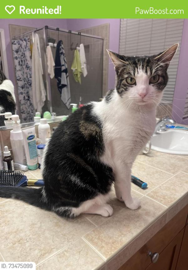 Reunited Male Cat last seen Stage coach place, San Diego, CA 92129
