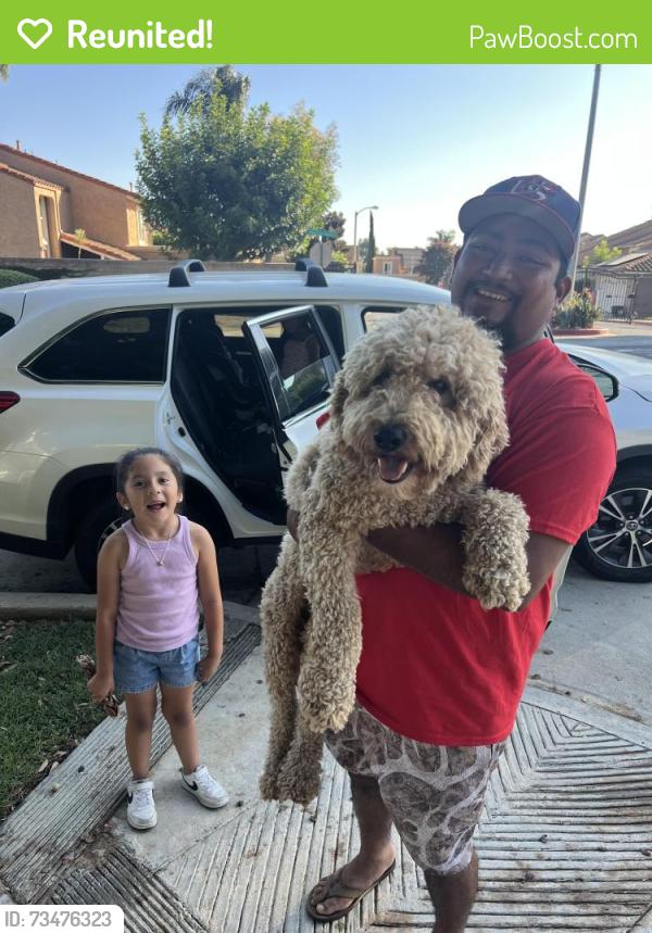 Reunited Male Dog last seen Kraemer Blvd & Alta Vista St., Placentia, CA 92870
