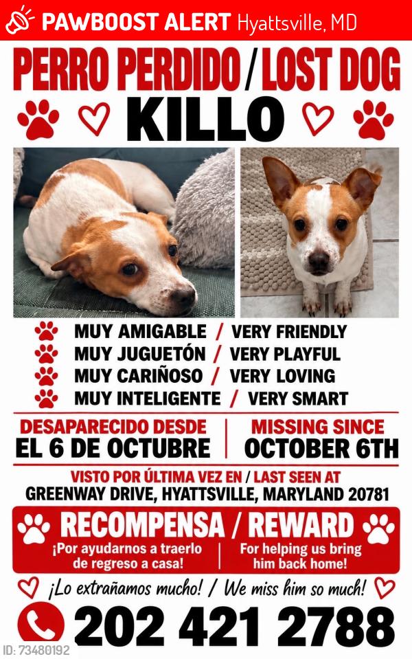 Lost Male Dog last seen Greenway dr, Hyattsville, MD 20781